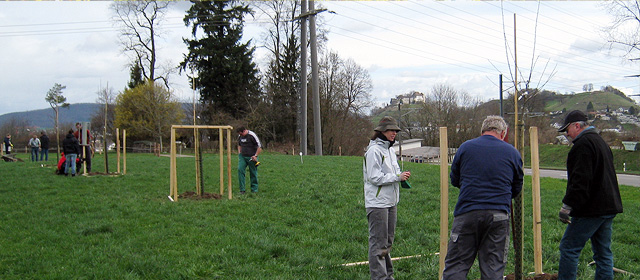 Visual Hauptthema Schritte zur Umsetzung der ÖI