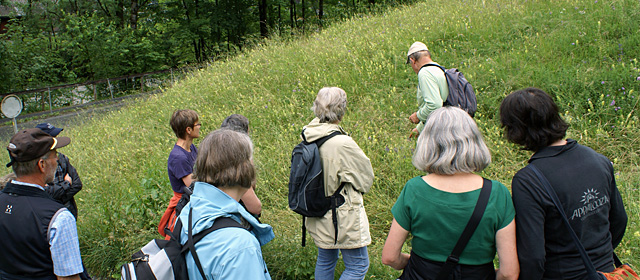 Visual Hauptthema Wie erklärt man die ÖI?“