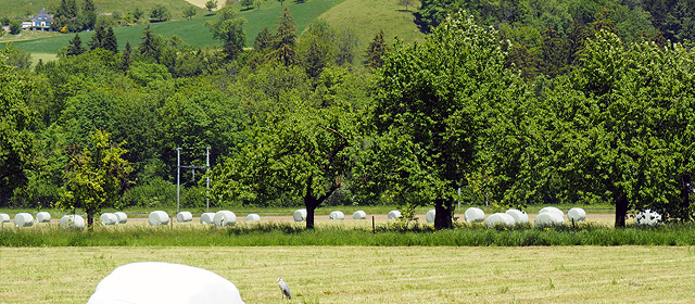 Visual Hauptthema Diverse Hauptthemen rund um die ÖI